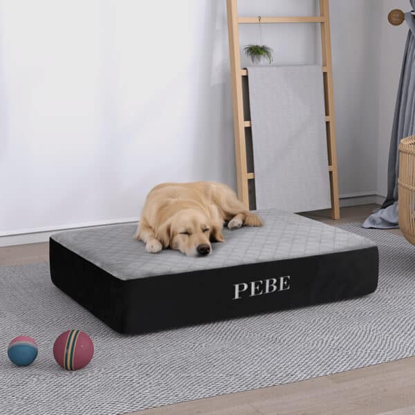 Pebe Memory Foam Pet Bed